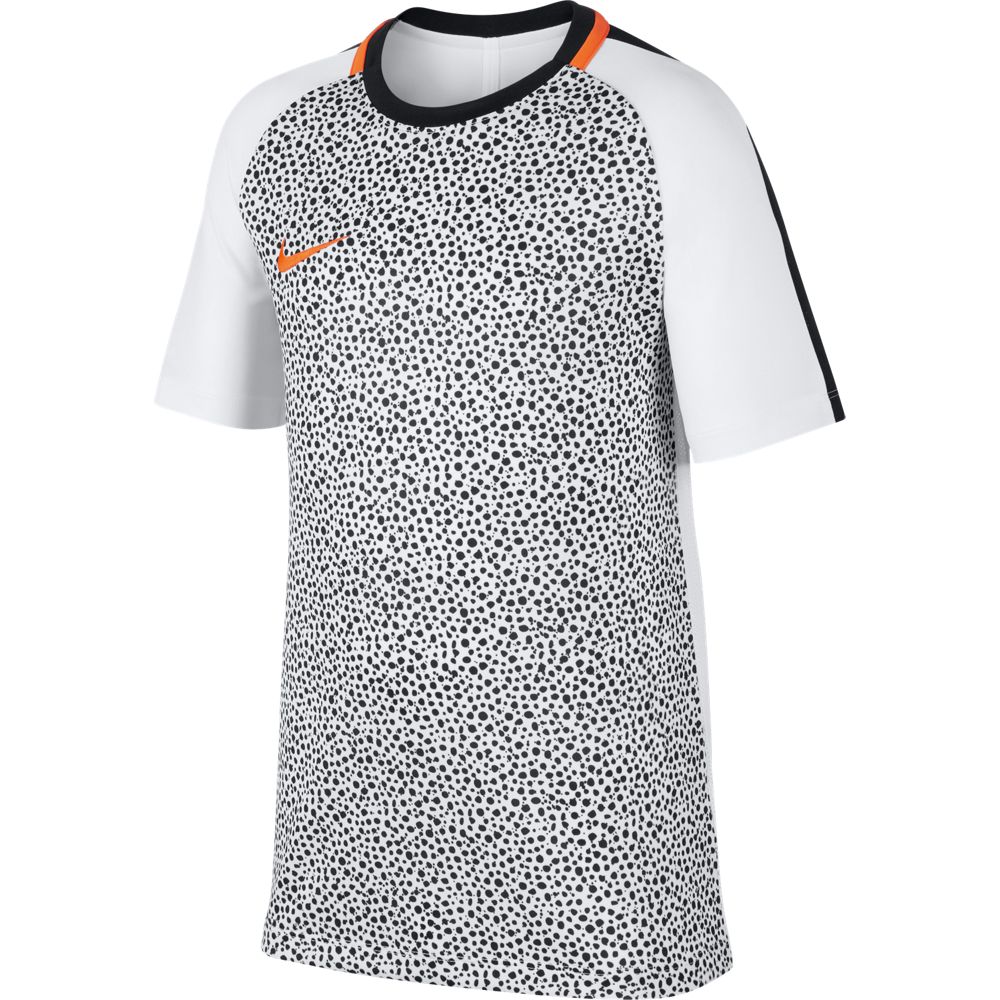 AJ4230-100-PHSFH001-1000