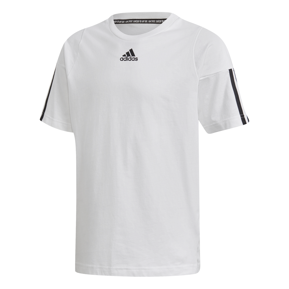 DV0789_APP_photo_front_white