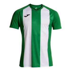 camiseta-manga-corta-joma-inter-iv-verde-blanco-imag1