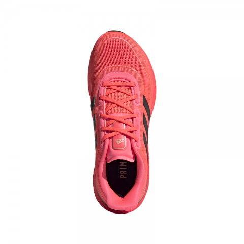 Zapatilla de running - Mujer - ADIDAS Supernova Rosa - FW0704