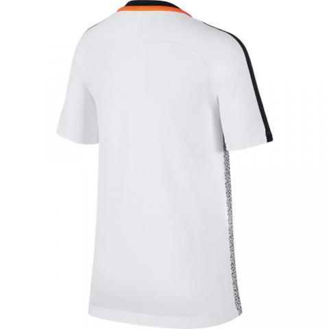 AJ4230-100-PHSBH001-1000