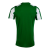 camiseta-joma-inter-classic-blanco-verde-imag3