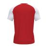 camiseta-manga-corta-joma-academy-iv-rojo-blanco-imag2